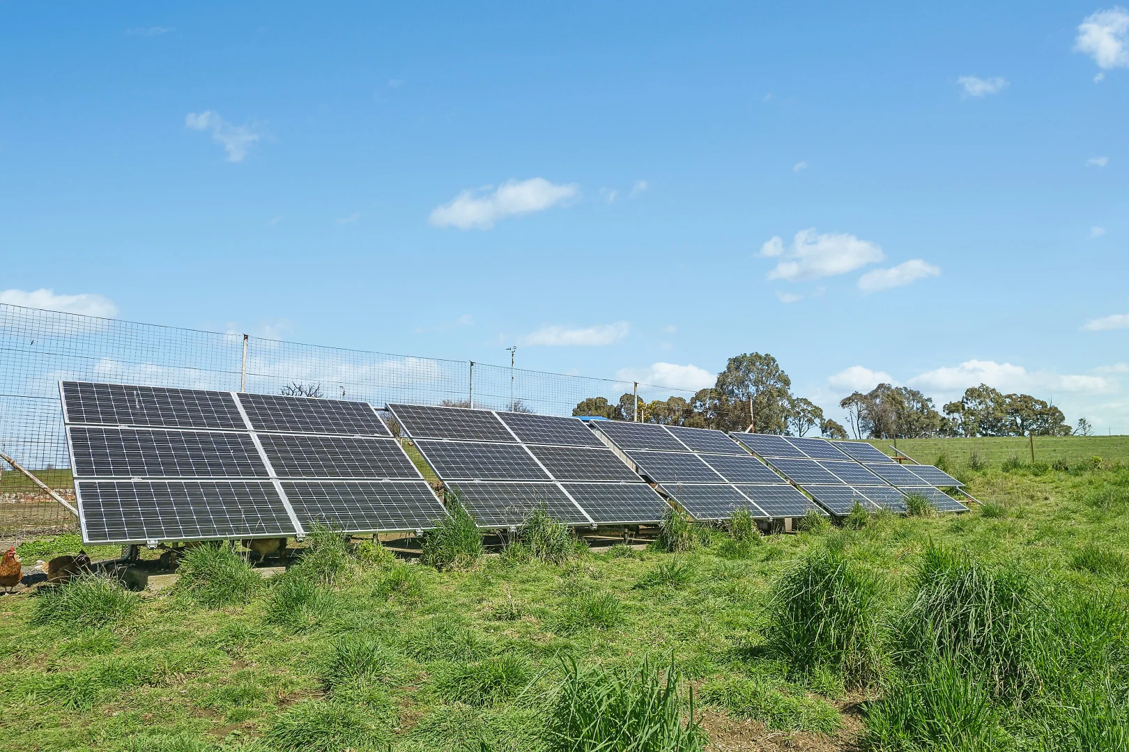 Additional image 17 of 565 Nyes Gate Road, Millthorpe NSW 2798