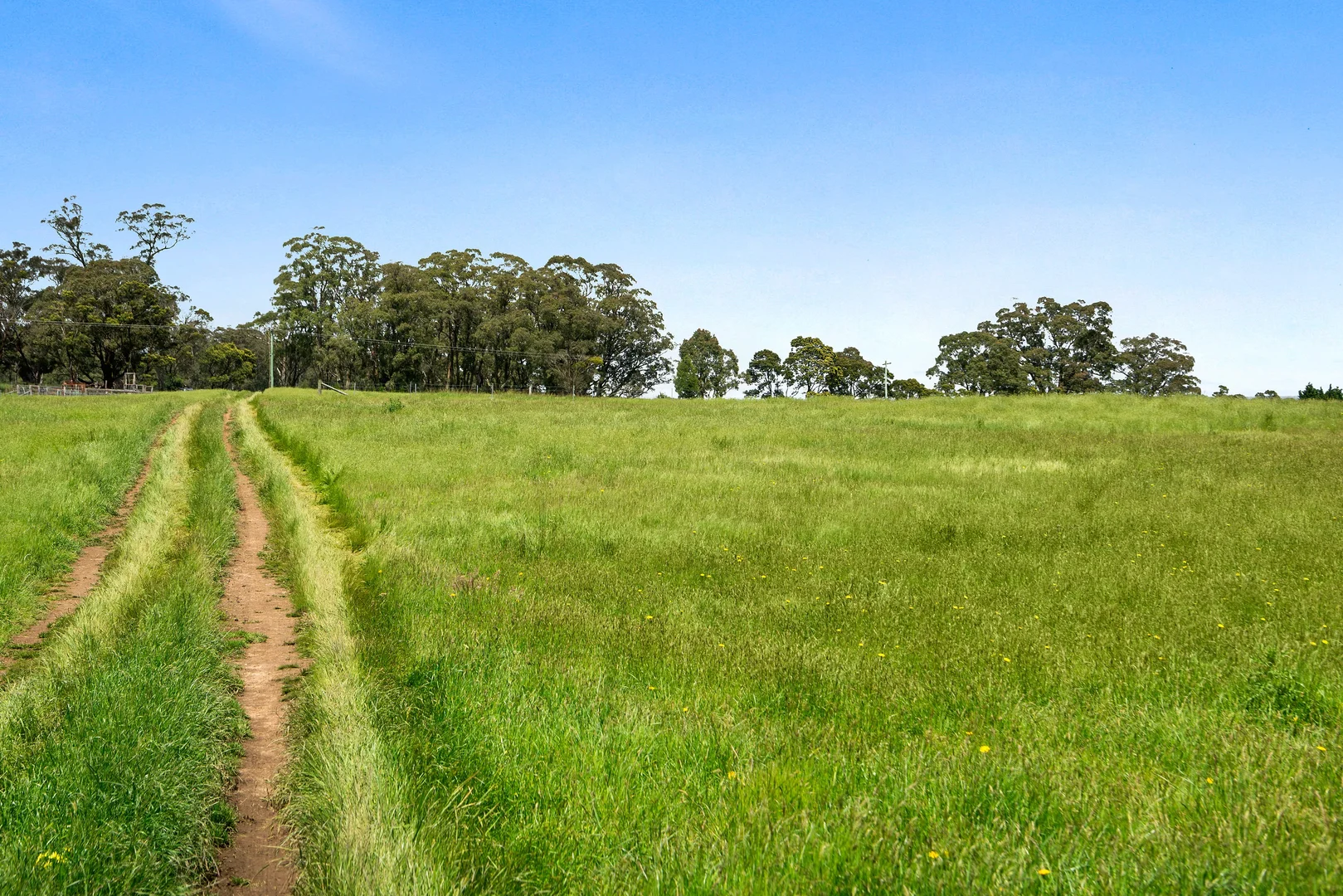 Additional image 8 of 373 Sallys Corner Road, Exeter NSW 2579