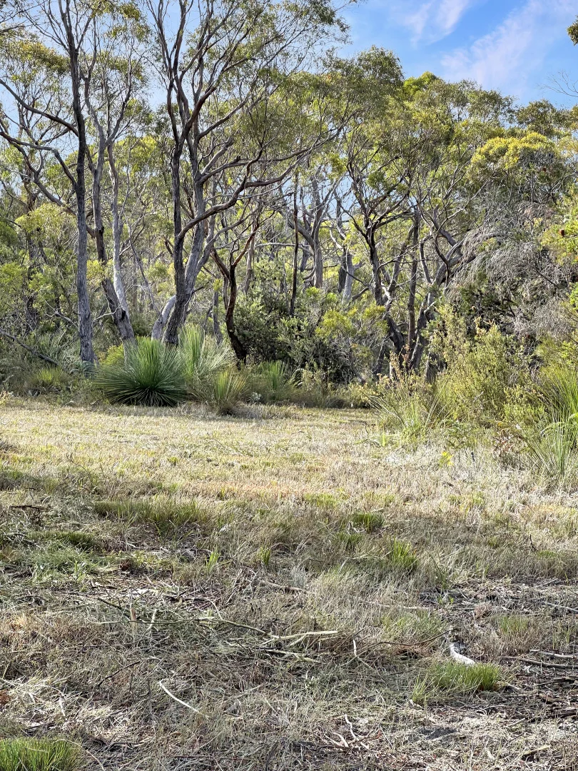 Additional image 28 of 24 Jeanneret Crescent, Binalong Bay TAS 7216