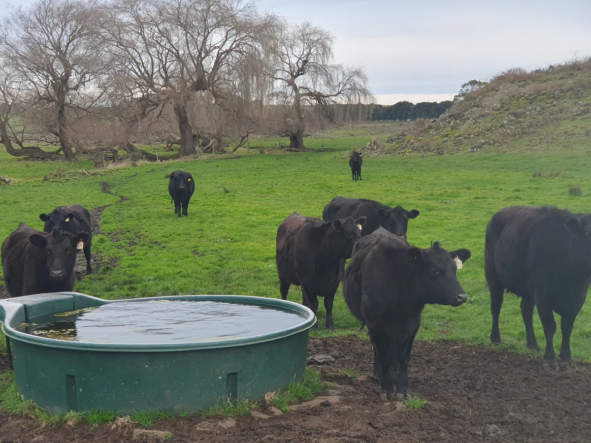 Additional image 9 of 546 Koallah Pomborneit Road, Koallah VIC 3260