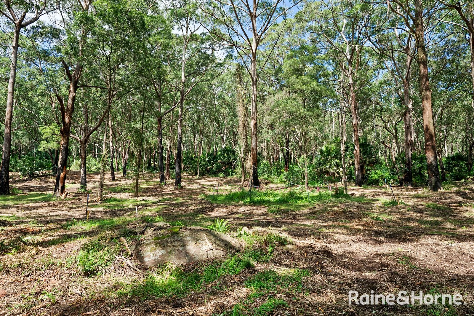 Additional image 14 of Lot 1 Selbys Road, Budgong NSW 2577