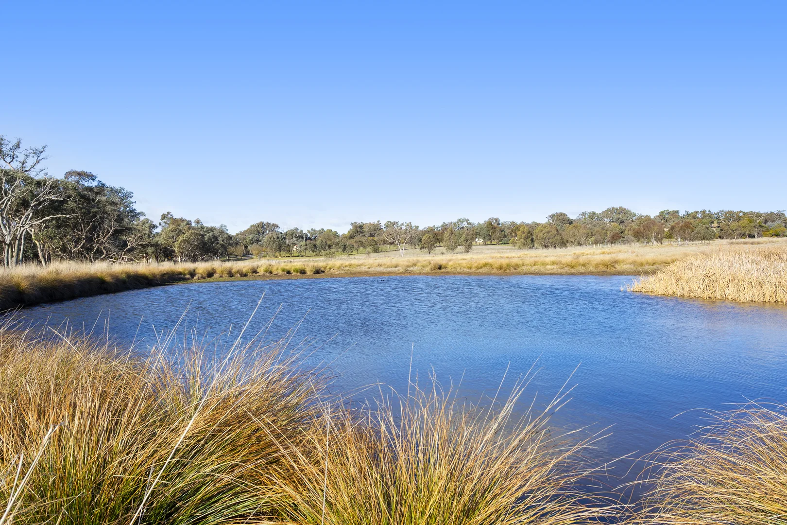 Additional image 28 of 378 Hillview Drive, Murrumbateman NSW 2582