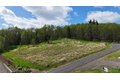Additional image 7 of Elk Ridge Rd Lot 7, Mossyrock, WA, 98564