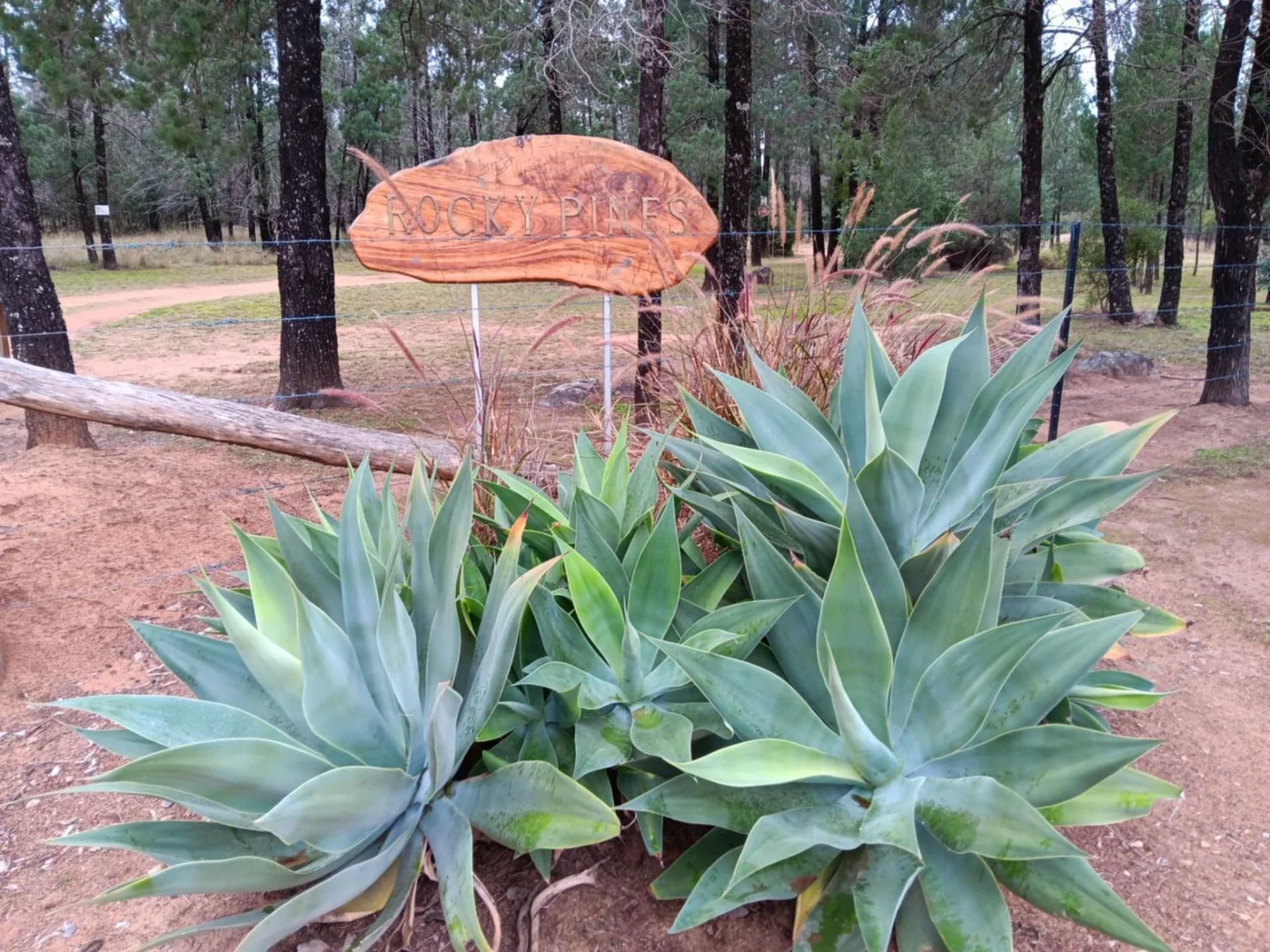 Additional image 5 of 115 Smithfield Mundoey Road, Smithlea QLD 4385