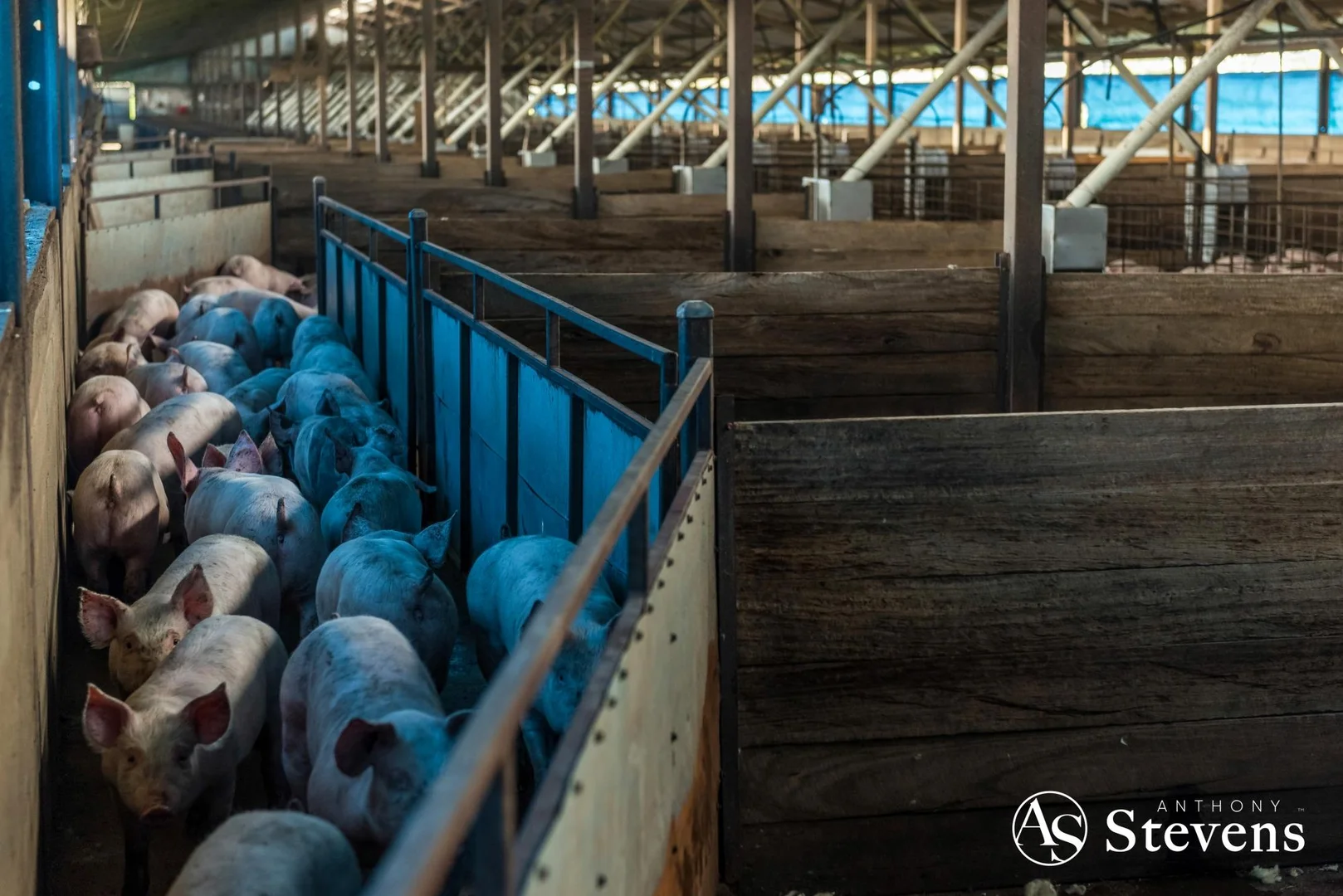 Additional image 6 of 499 Old Wedderburn Road, Slaty Creek VIC 3477