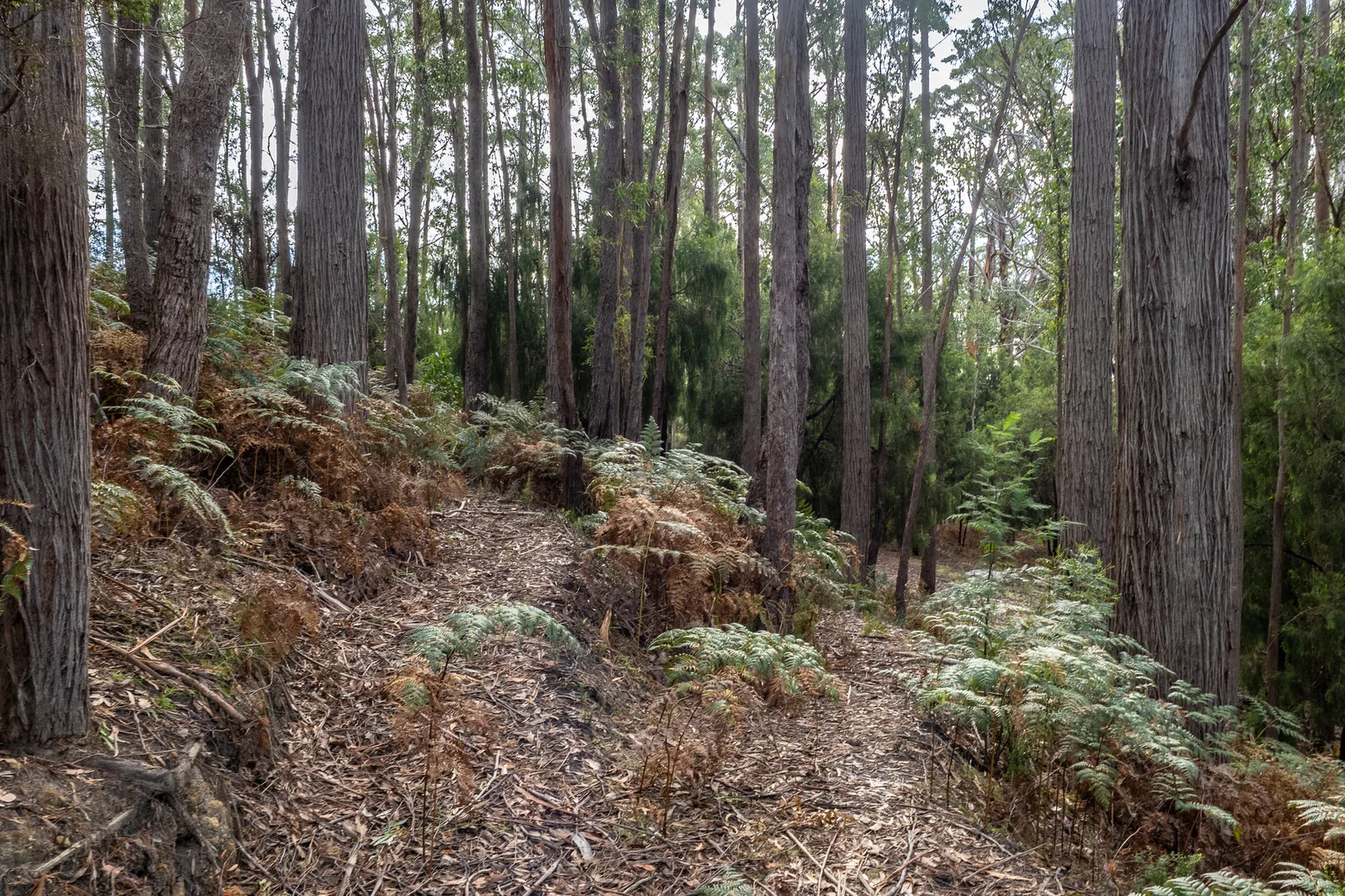 Additional image 24 of Channel Highway, Flowerpot TAS 7163