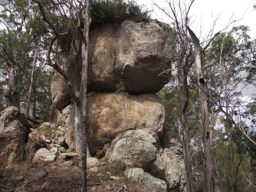 Additional image 6 of Stegemann Road, Upper Glastonbury QLD 4570