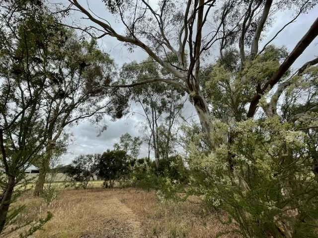 Additional image 3 of Lot 2, 31 Meteorite Street, Murchison VIC 3610