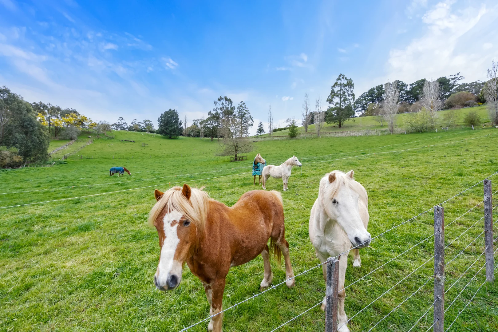 Additional image 29 of 186 Mount Buninyong Road, Buninyong VIC 3357