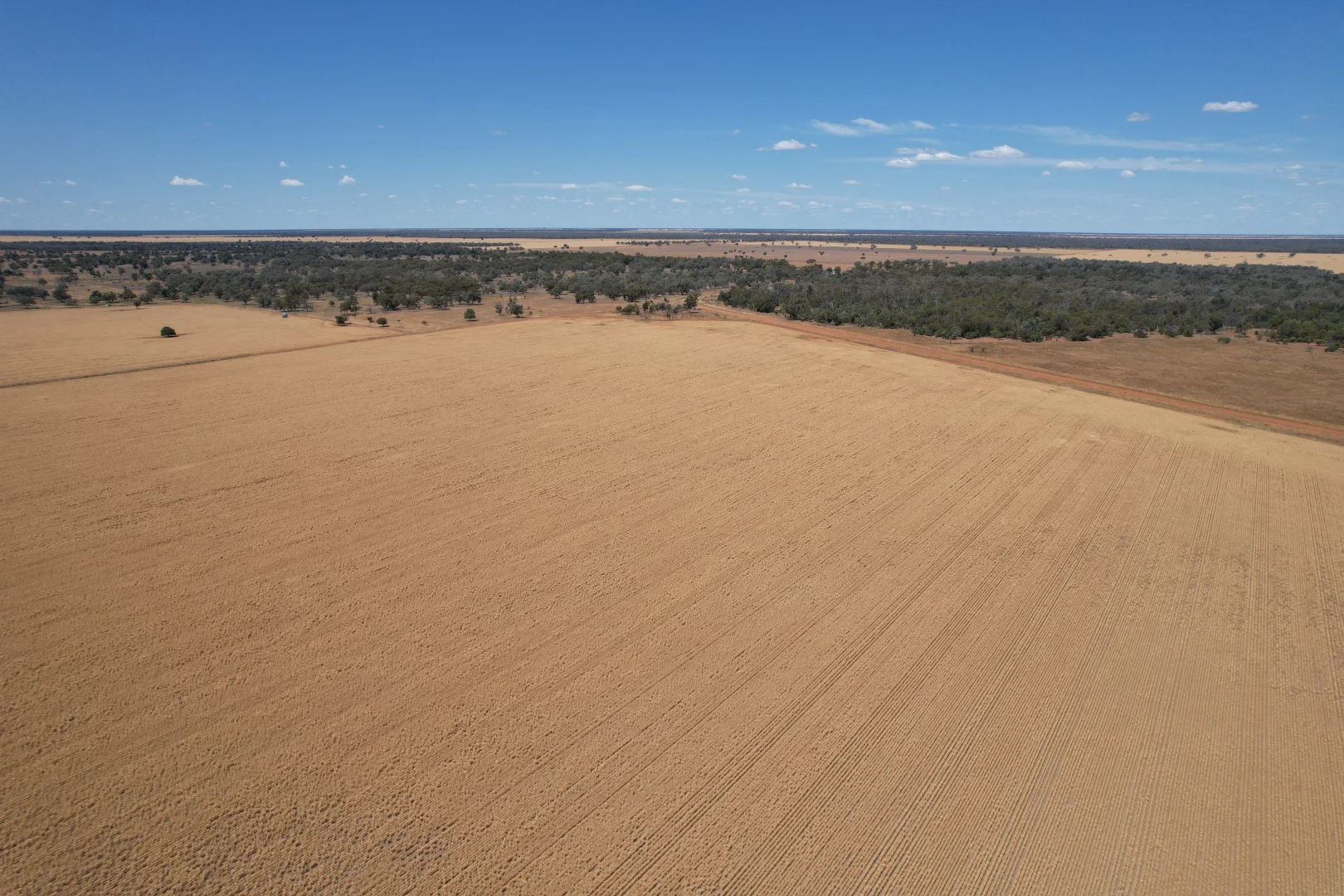 Additional image 9 of 3282 Gungalman Road, Carinda NSW 2831