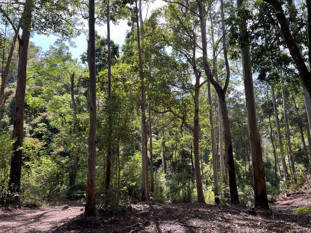 Additional image 2 of Comara NSW 2440