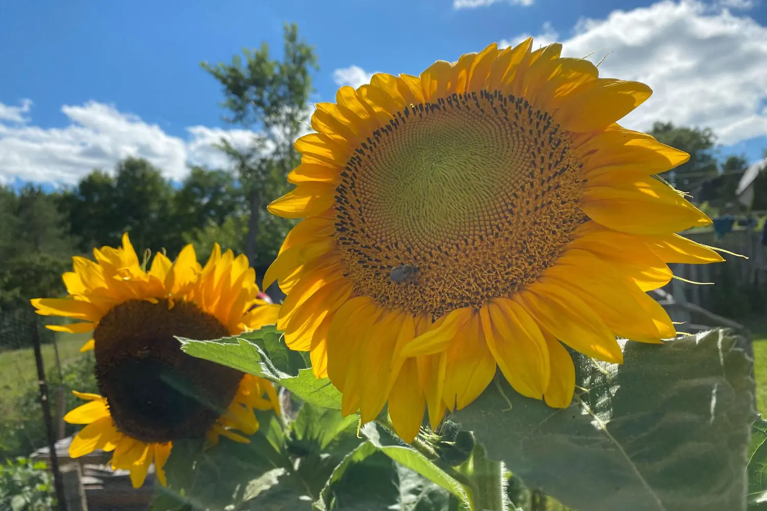 Additional image 13 of 1229 County Road 124