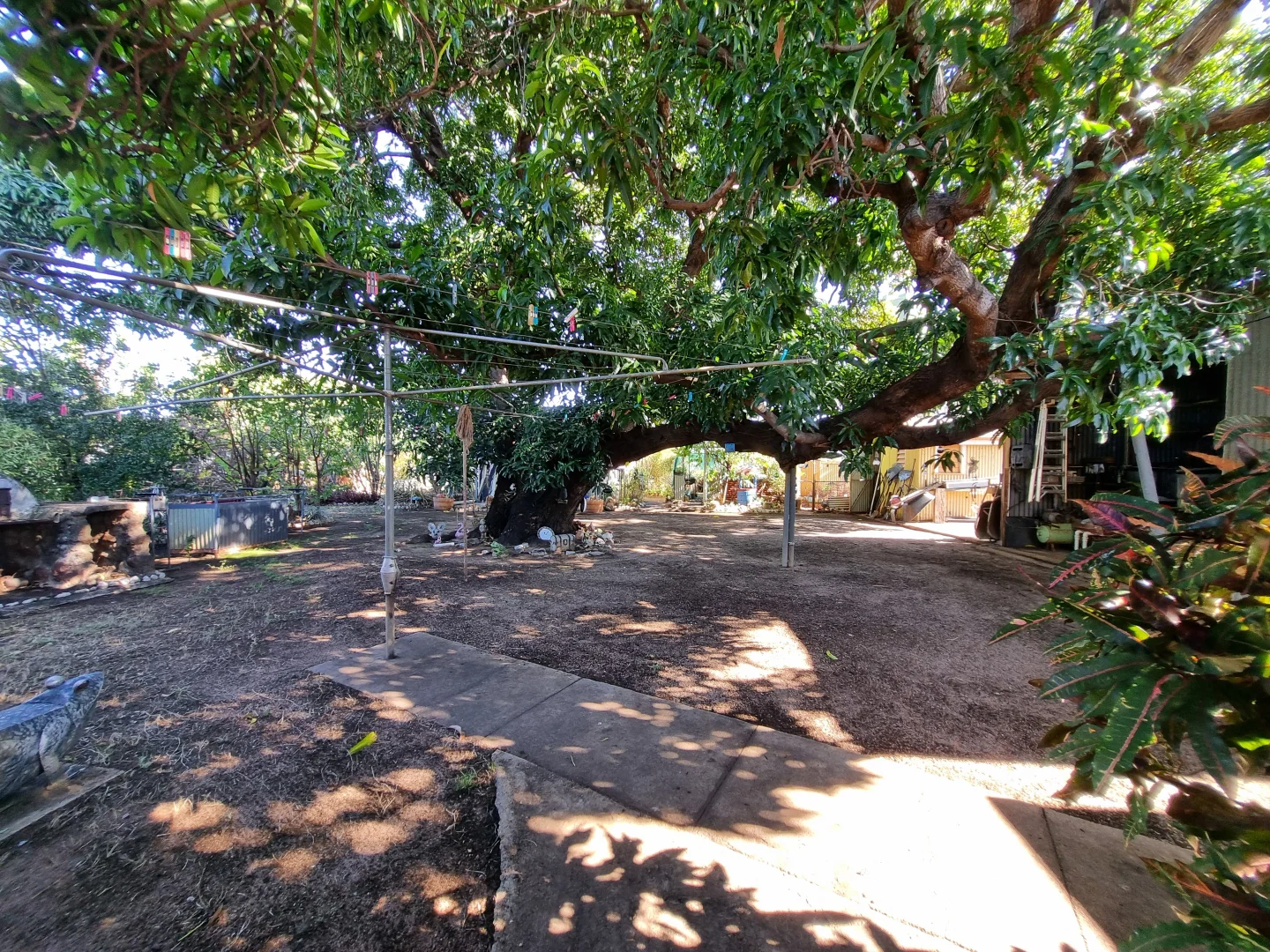 Additional image 19 of 1 Savannah Street, Mount Surprise QLD 4871