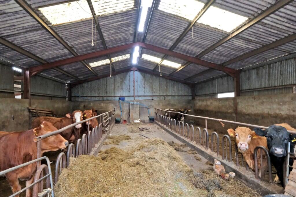 Additional image 4 of AB55