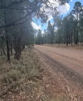 Additional image 5 of 9 Everton Road, Gilgandra NSW 2827