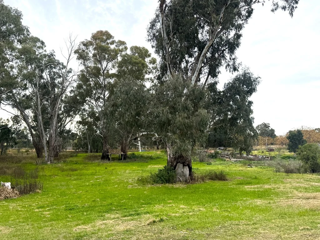 Additional image 2 of 200 Lower Miller Street, Gilgandra NSW 2827