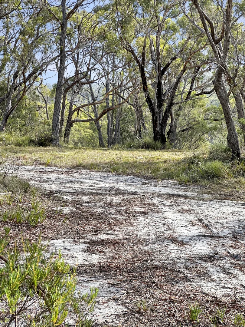Additional image 3 of 24 Jeanneret Crescent, Binalong Bay TAS 7216