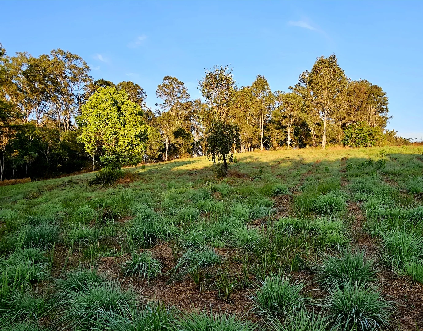 Additional image 9 of Lot 1/MPH24455 Mary Valley Road, Jones Hill QLD 4570