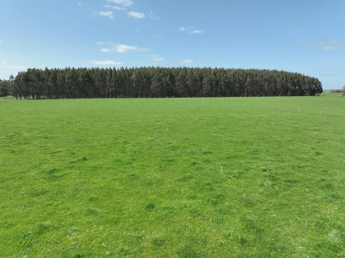 Additional image 7 of 260 Swan Marsh-Stonyford Road, Pirron Yallock VIC 3249