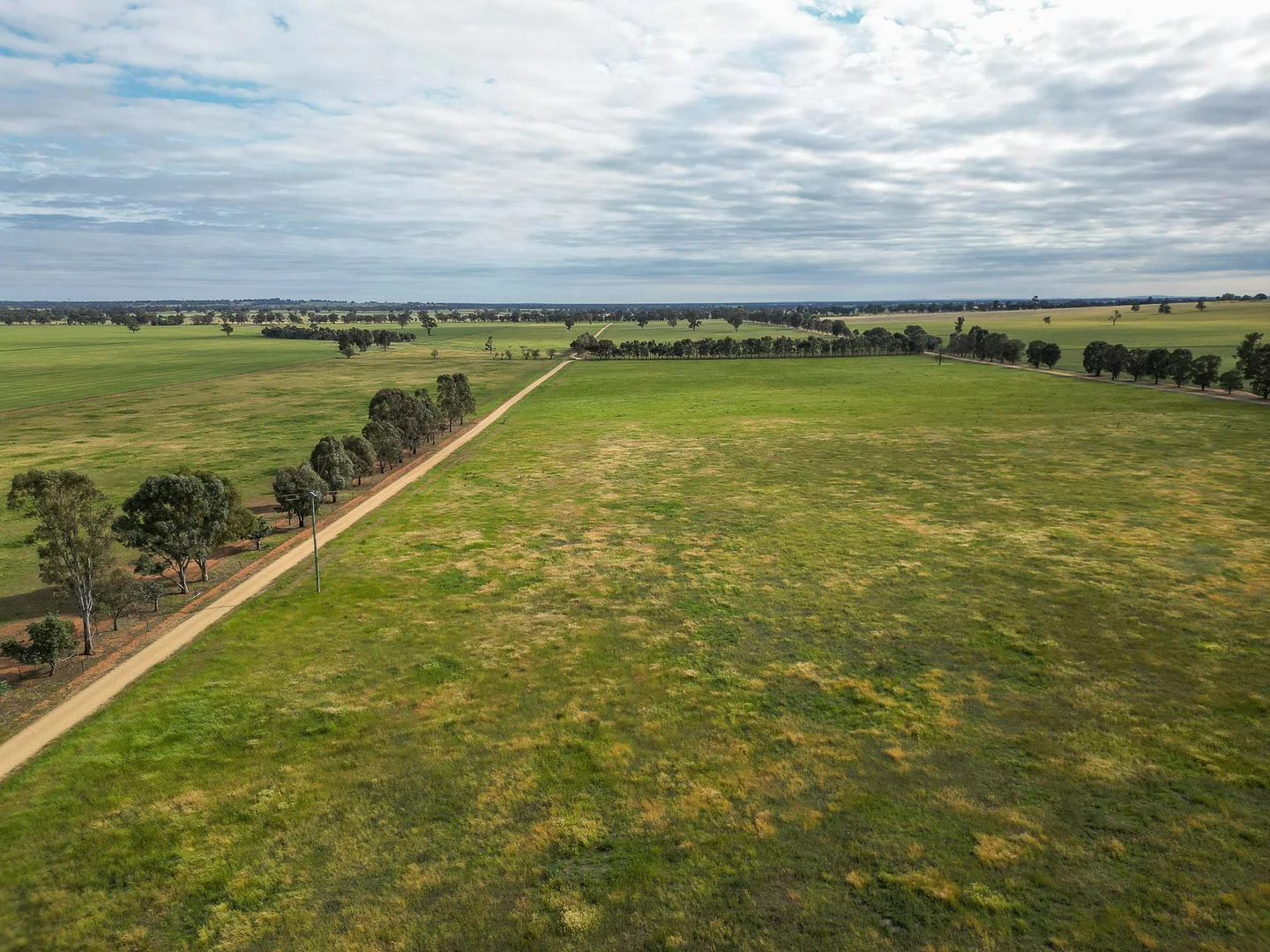 Additional image 16 of 2326 Lockhart The Rock Road, The Rock NSW 2655