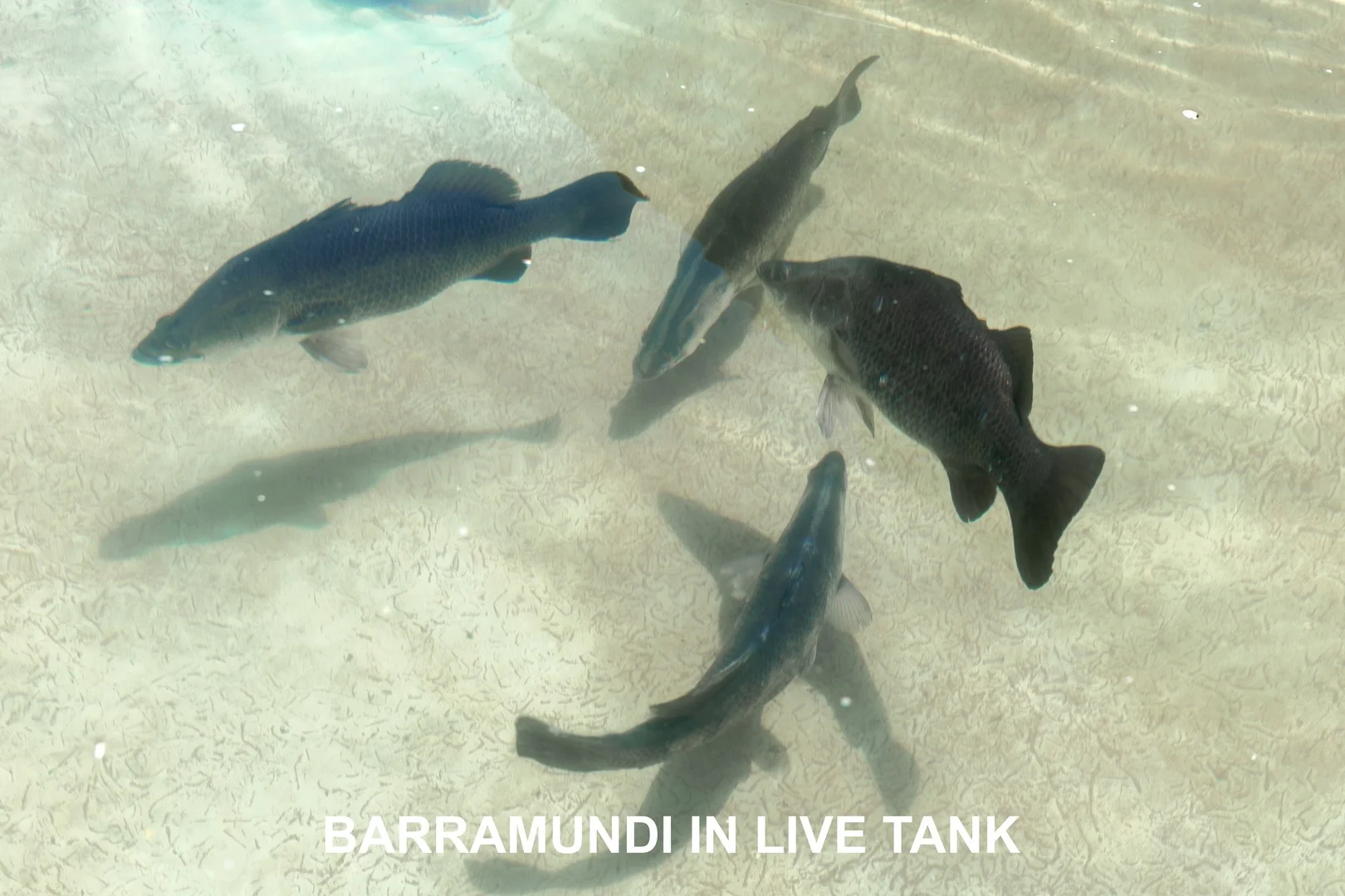 Additional image 34 of 151 Moorooduc Highway, Baxter VIC 3911