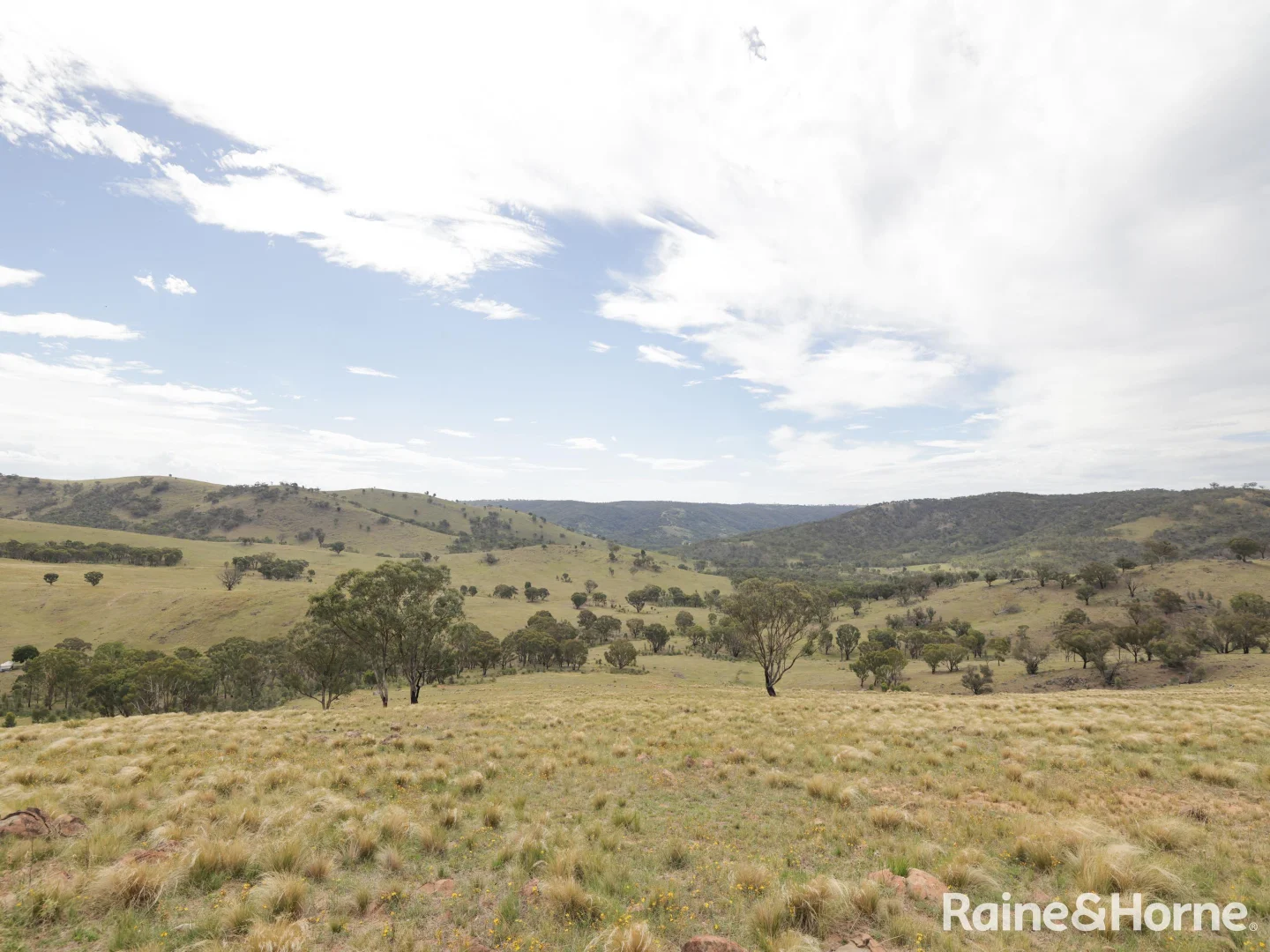 Additional image 22 of 260 & 262 Alpha Road, Tambaroora NSW 2850