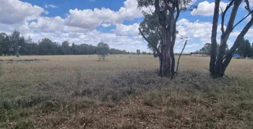 Additional image 3 of 9 Everton Road, Gilgandra NSW 2827