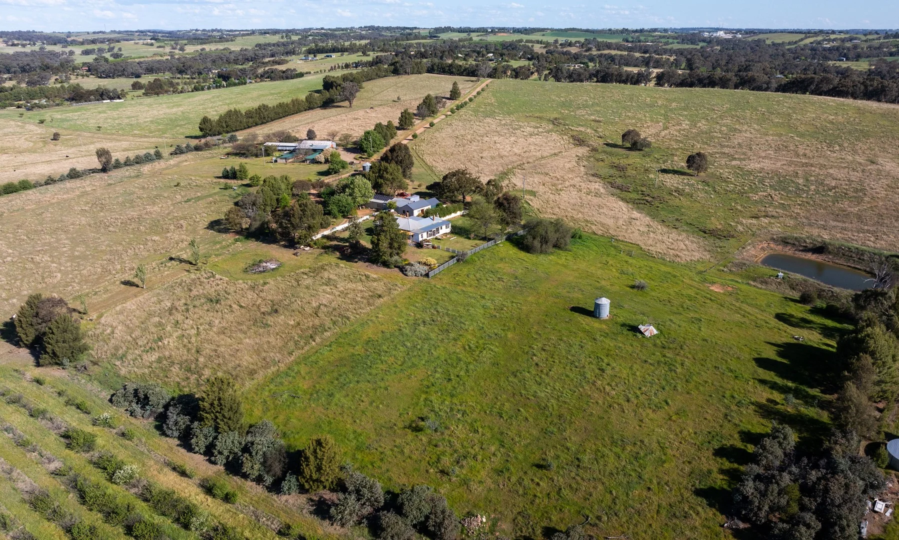 Additional image 26 of 251 Pattersons Lane, Young NSW 2594