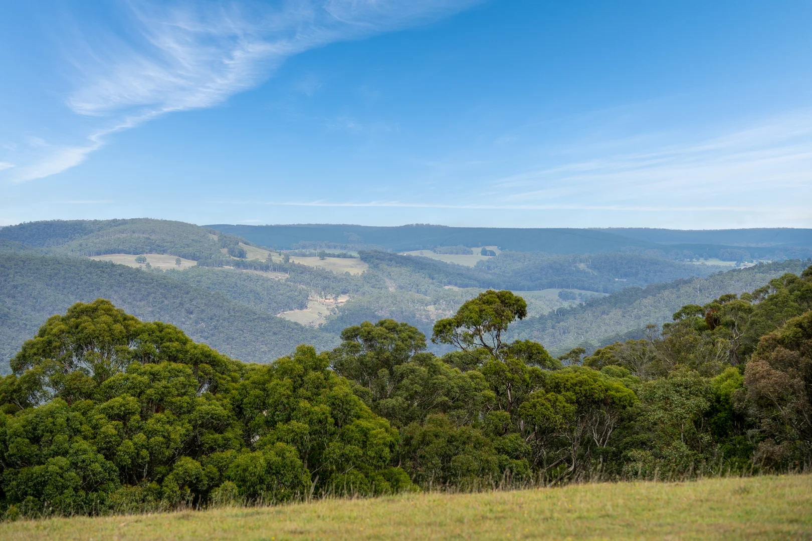 Additional image 29 of 251 Sheepstation Forest Road, Gingkin NSW 2787