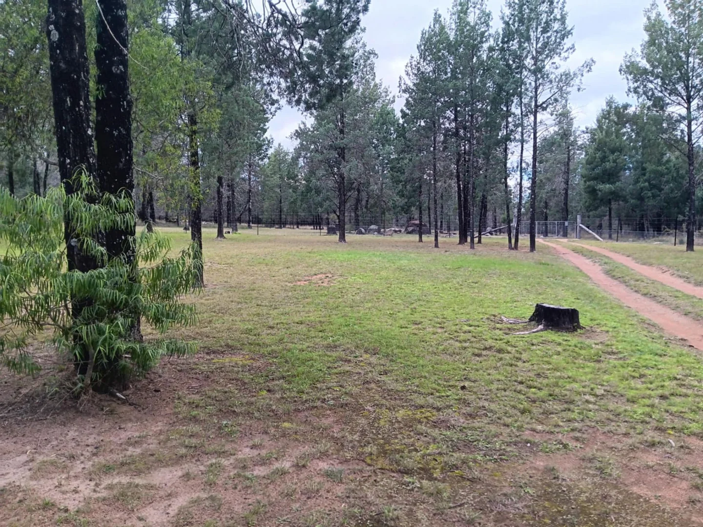 Additional image 31 of 115 Smithfield Mundoey Road, Smithlea QLD 4385