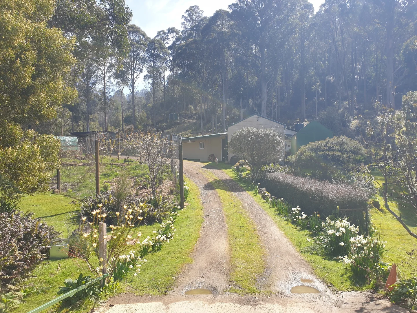 Additional image 3 of 362 Bakers Creek Road, Lucaston TAS 7109