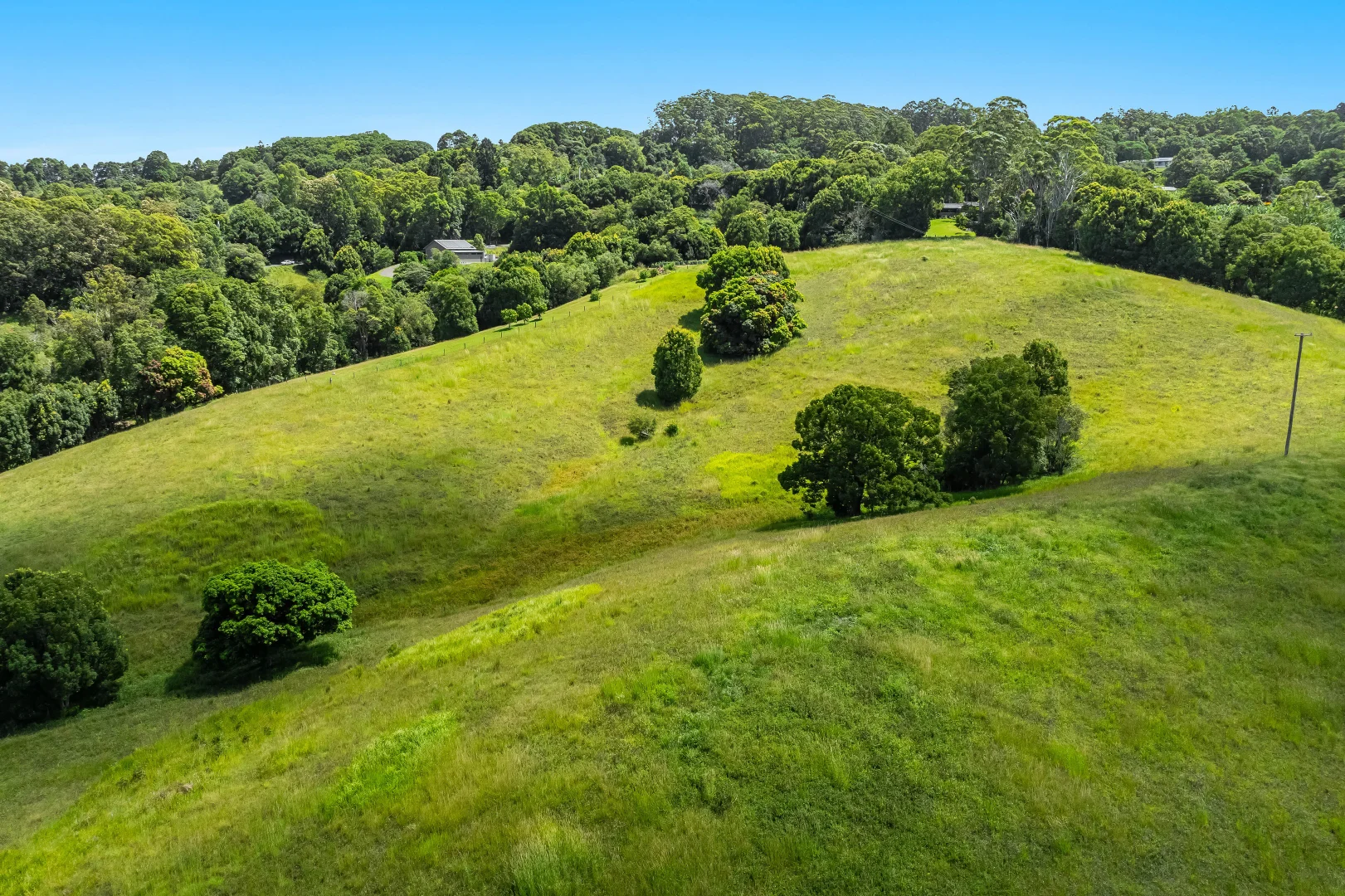 Additional image 5 of 278 Uralba Road, Uralba NSW 2477