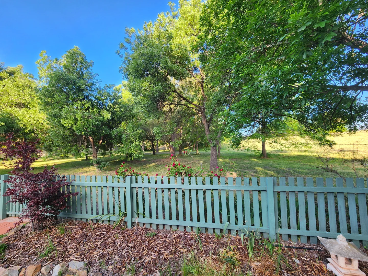 Additional image 32 of 7 Fallins Place, Monash ACT 2904