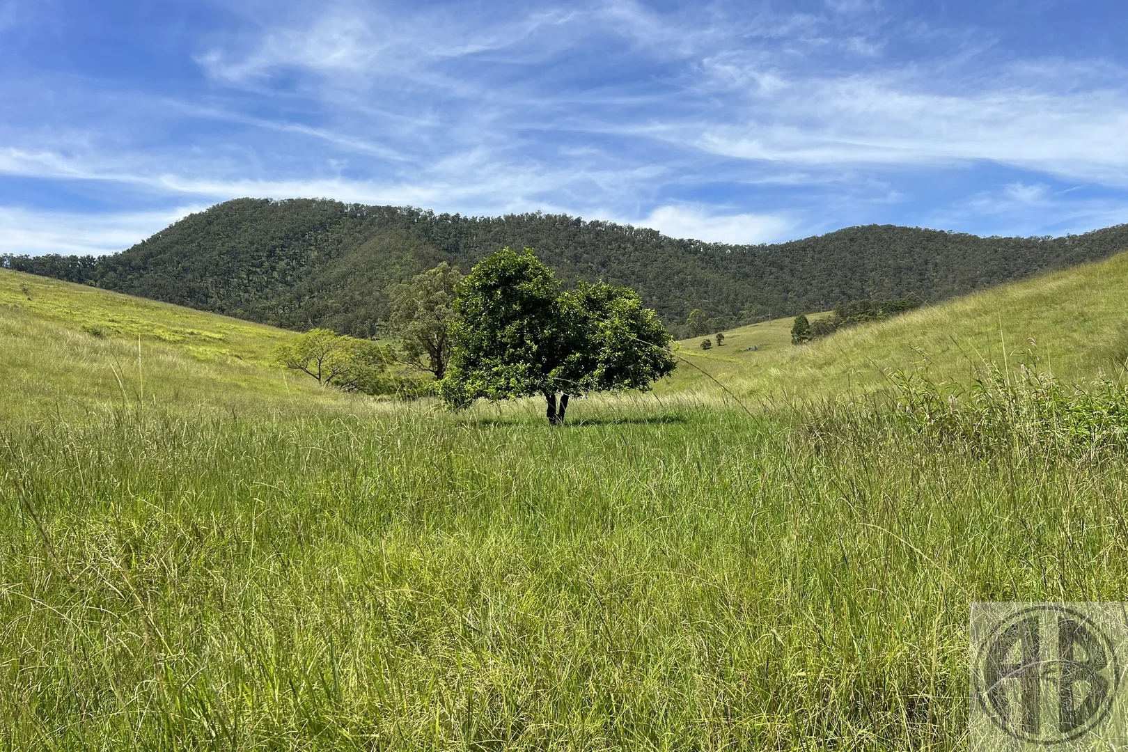 Additional image 8 of Kempsey Road, Lower Creek NSW 2440