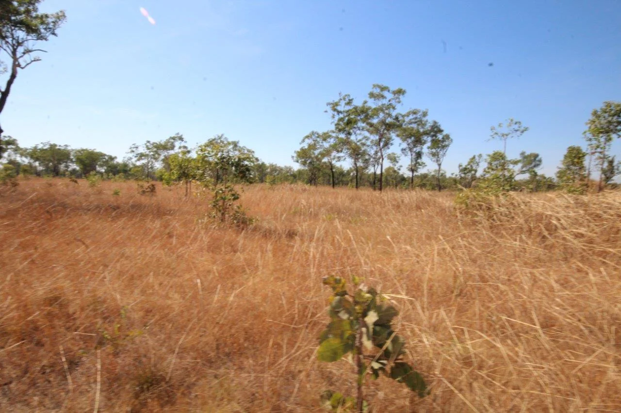Additional image 26 of Acacia Hills NT 0822