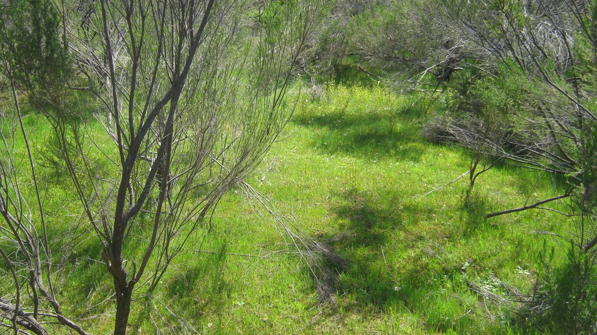 Additional image 5 of Lot 2 Hylands Lane, Heathcote VIC 3523