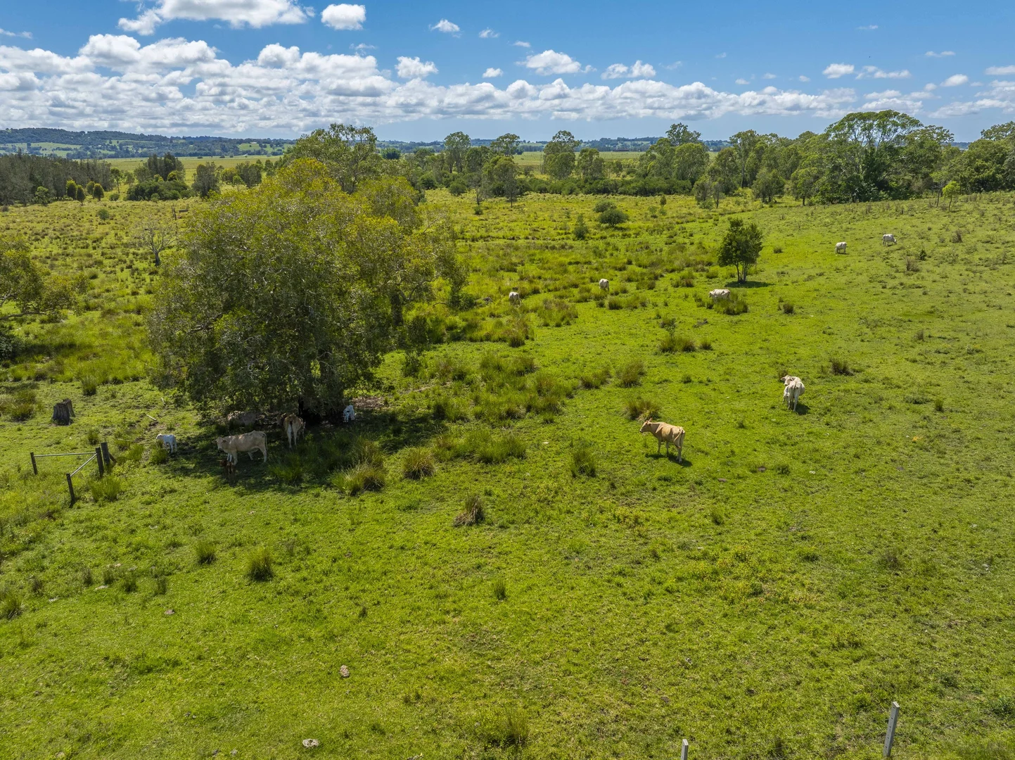 Additional image 3 of 241 Coraki Road, South Gundurimba NSW 2480