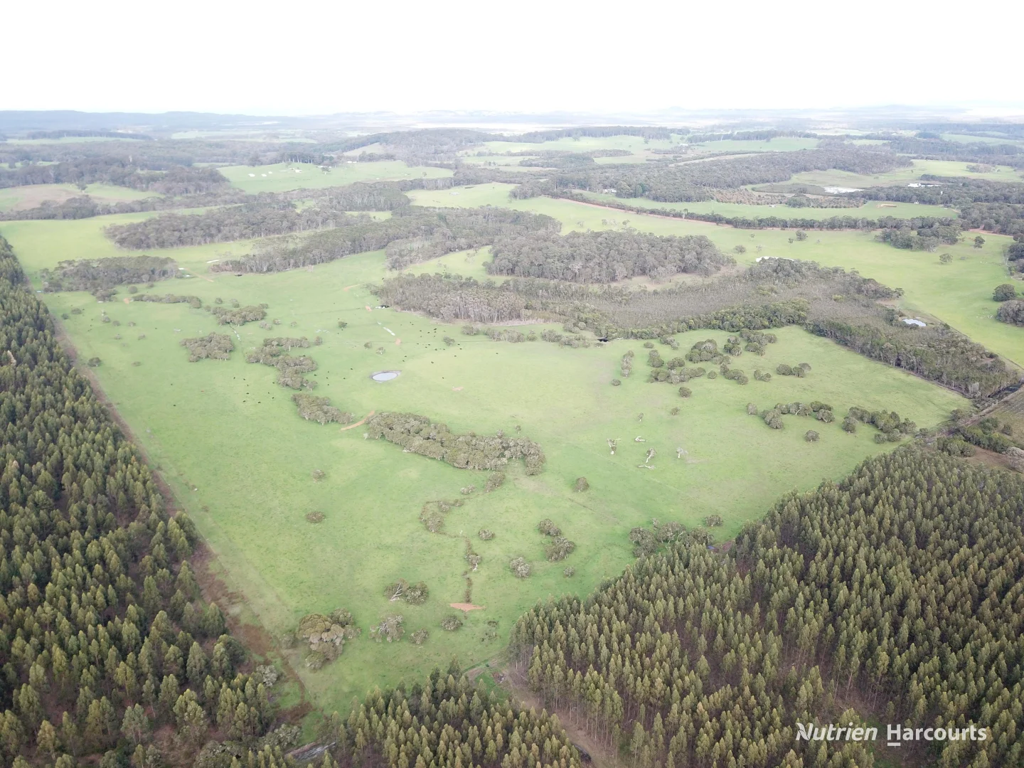 Additional image 19 of 526 Board Road, Kordabup WA 6333