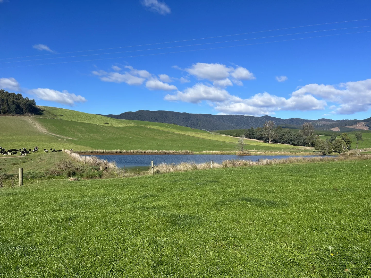 Additional image 15 of 630 Ten Mile Track, Springfield TAS 7260
