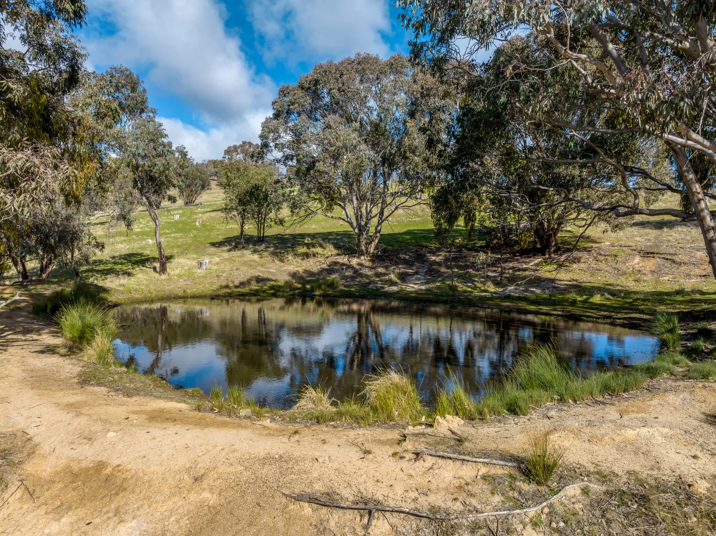 Additional image 4 of 2306 Bigga Road, Bigga NSW 2583