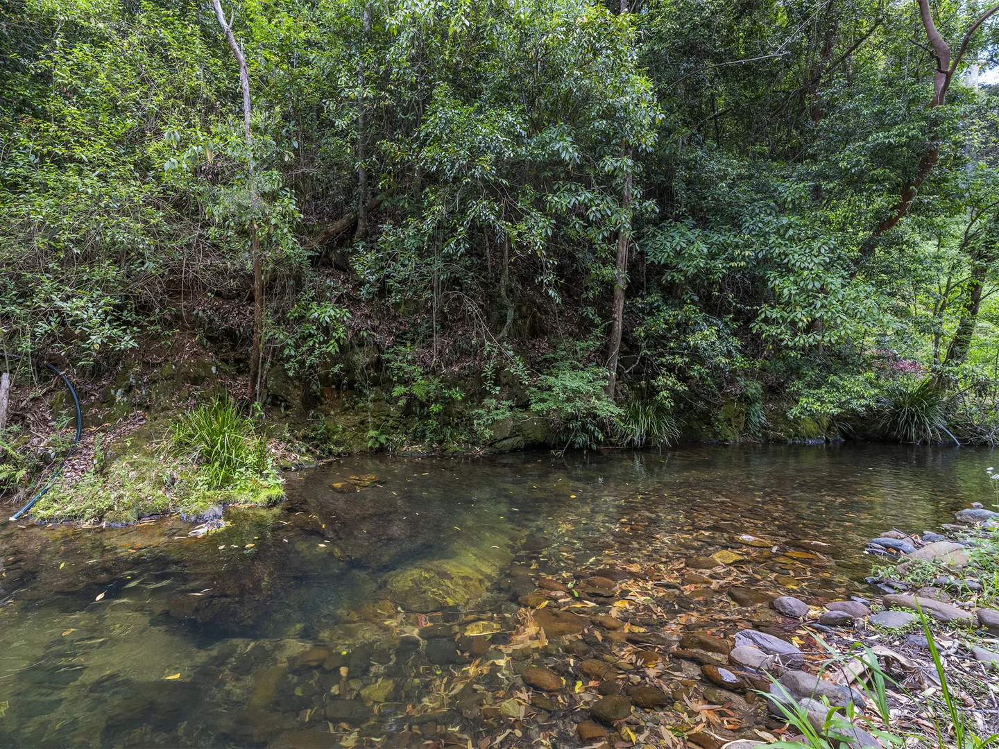 Additional image 6 of 1824 Darkwood Road, Darkwood NSW 2454