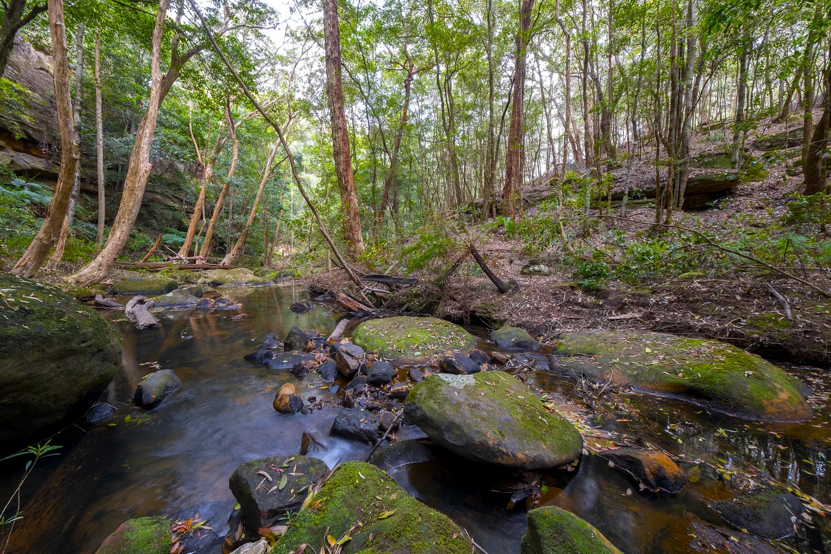 Additional image 8 of 66 Baileys Lane, Kurrajong Hills NSW 2758