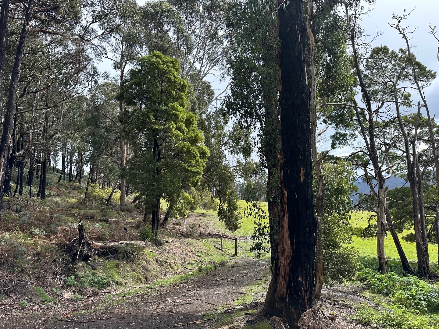 Additional image 9 of 1 Sunny Hills Road, Glen Huon TAS 7109