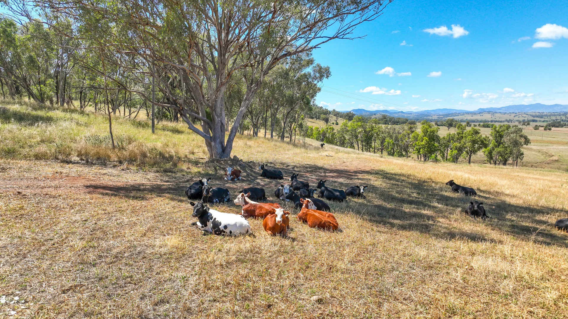 Additional image 13 of 1193 Marsden Park Road, Tamworth NSW 2340
