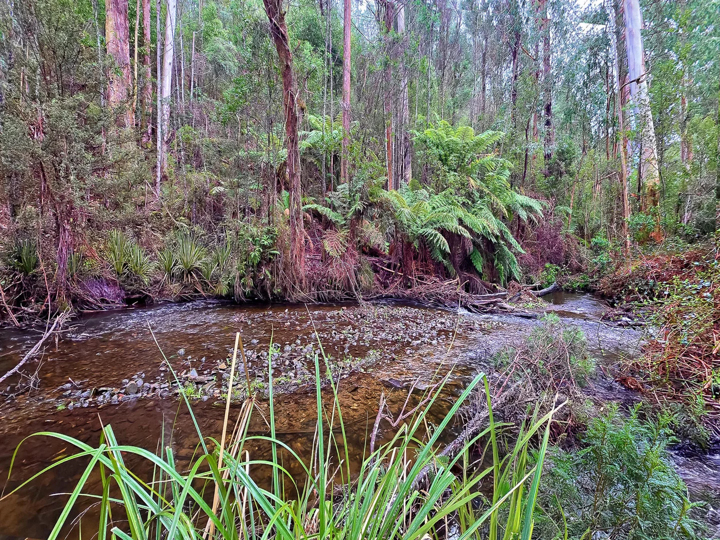 Additional image 16 of Marysville VIC 3779