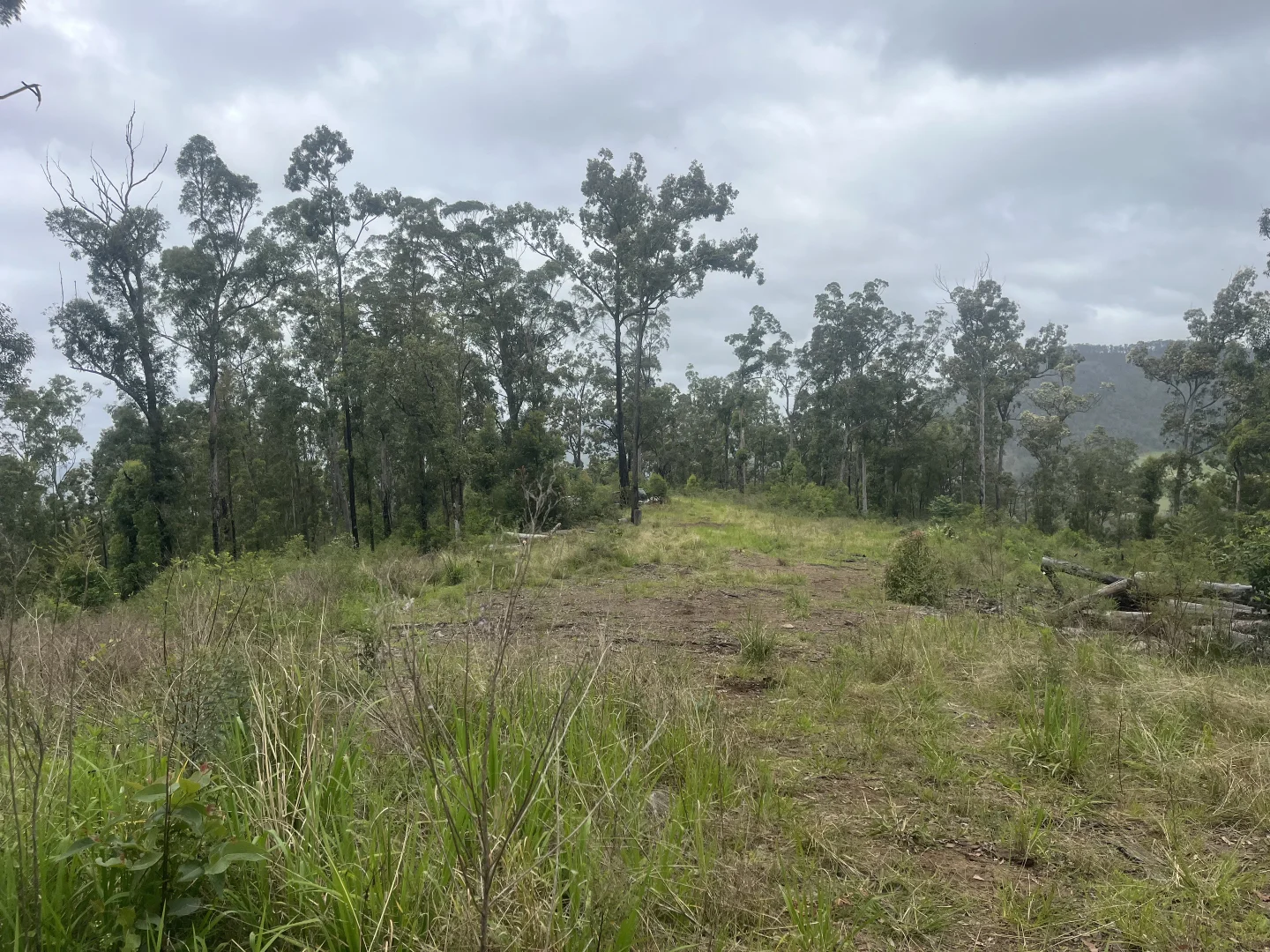 Additional image 11 of 173 Knodingbul Forest Road, Mount George NSW 2424