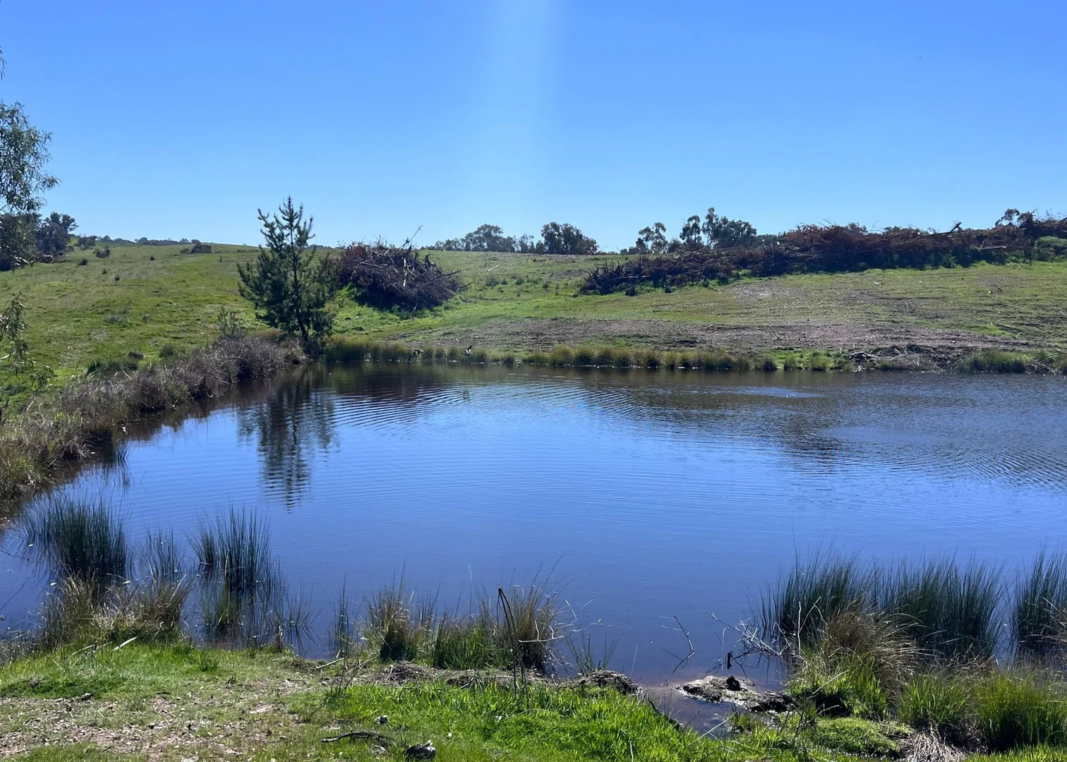 Additional image 11 of 613 Diffey Road, Everton VIC 3678