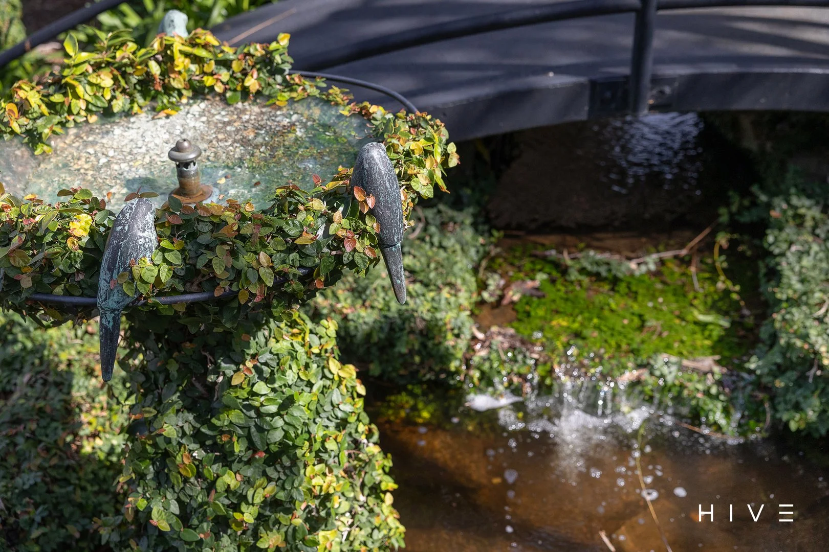 Additional image 31 of 12 Clearwater Terrace, Mossy Point NSW 2537