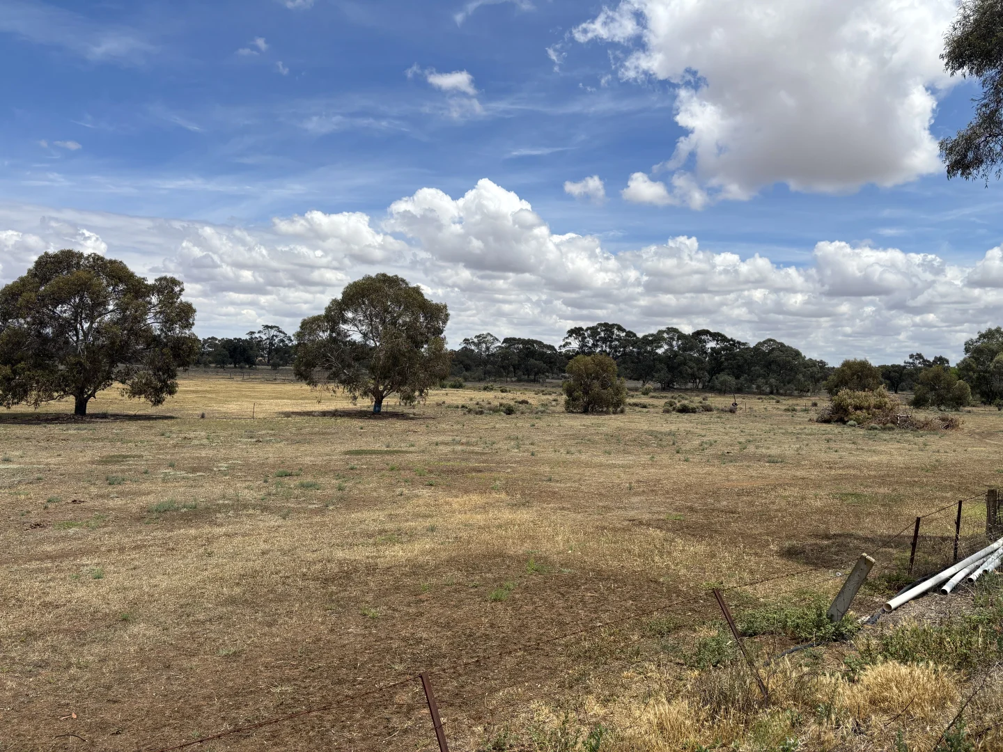 Additional image 6 of SOUTH STREET, Donald VIC 3480