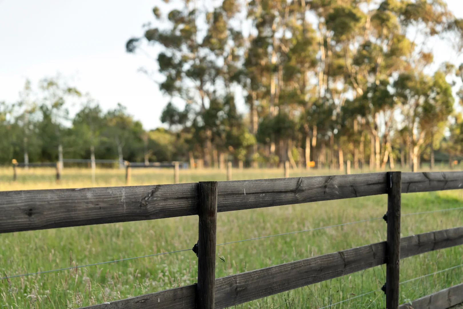 Additional image 28 of 755 Mcdonalds Drain Road, Pakenham South VIC 3810